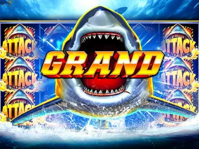 Live Dealer Casino Experience